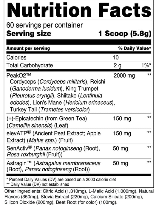 Transparent Labs - Build (60 Servings)
