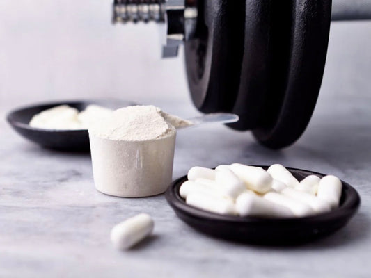 Creatine & HMB (All Types)