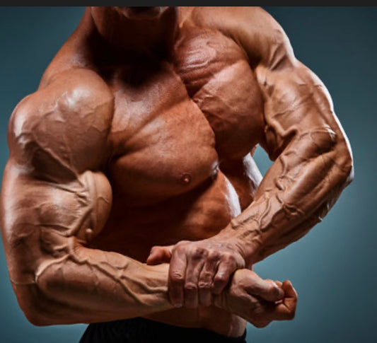 Nitric Oxide or Muscle Pumps (Stim Free) Powder & Pills